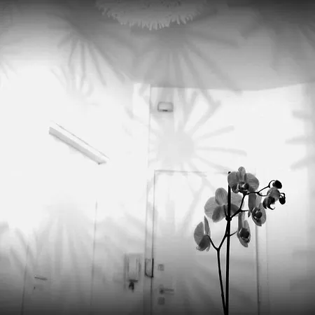 Appartement Yhome | Barletta